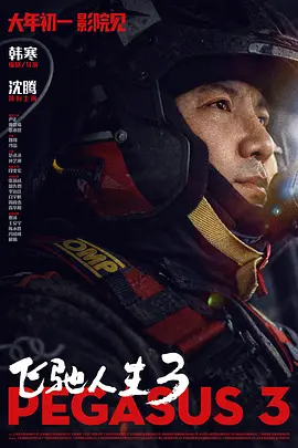 国产精品网站在线观看