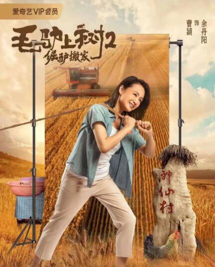 51精品在线